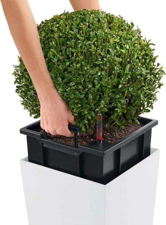 Produktbild Lechuza Cubico Color (39.50 cm)