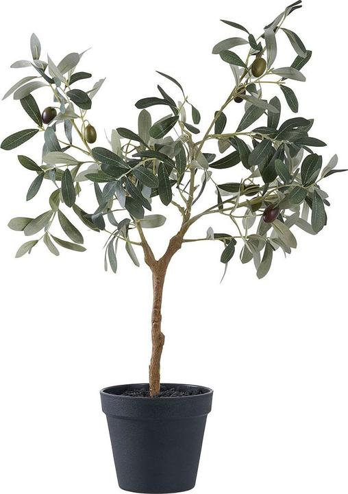 Actual product image House Nordic Olive (61 cm)