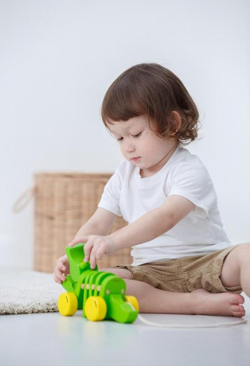 Immagine prodotto Plantoys Alligatore danzante