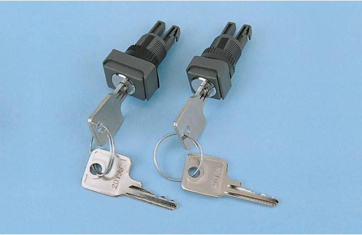 Actual product image APEM Rotary Switch 2 Positions