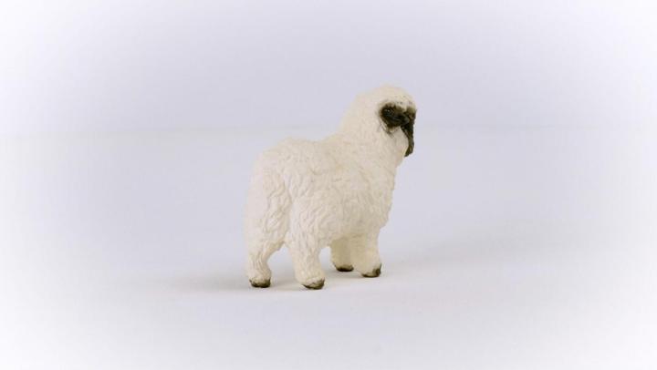 Produktbild Schleich Walliser Schwarznasenschaf