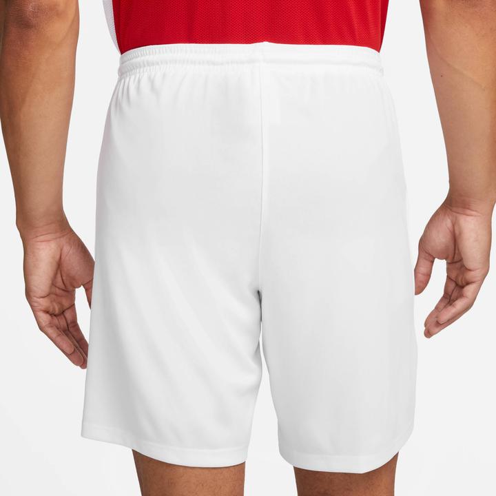 Actual product image Nike Dry Park III Short Men (M)