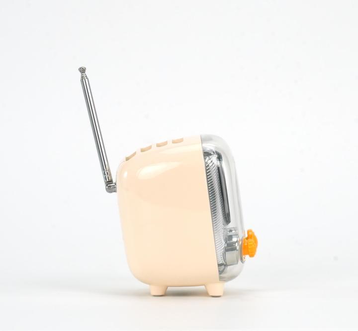 Immagine prodotto Divoom Tiivoo-2 white