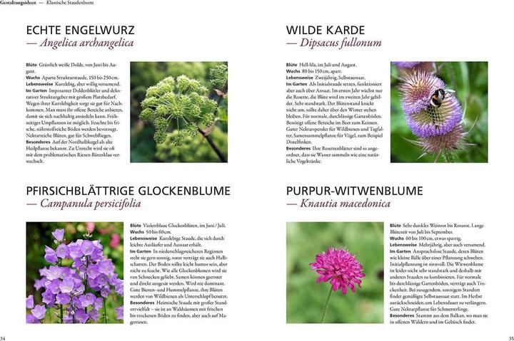 Productafbeelding Kosmos Der antiautoritäre Garten (Duits, Simone Kern, 2023)