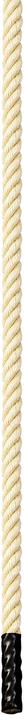 Actual product image Sport-Thieme Gym climbing rope classic