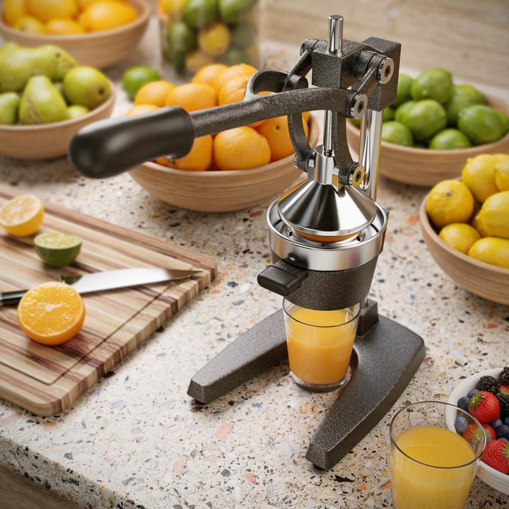 Produktbild Arendo Saftpresse