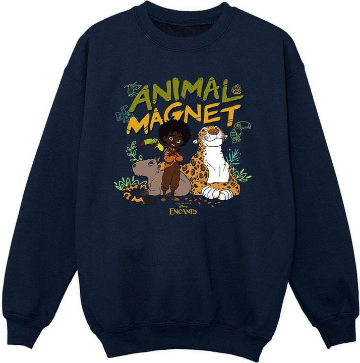 Disney Encanto Animal Magnet Sweatshirt Mädchen