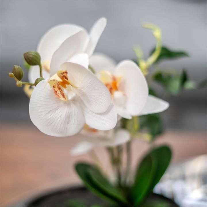 Produktbild NTK-Collection Kunstblume Orchidee in Schale (28 cm)