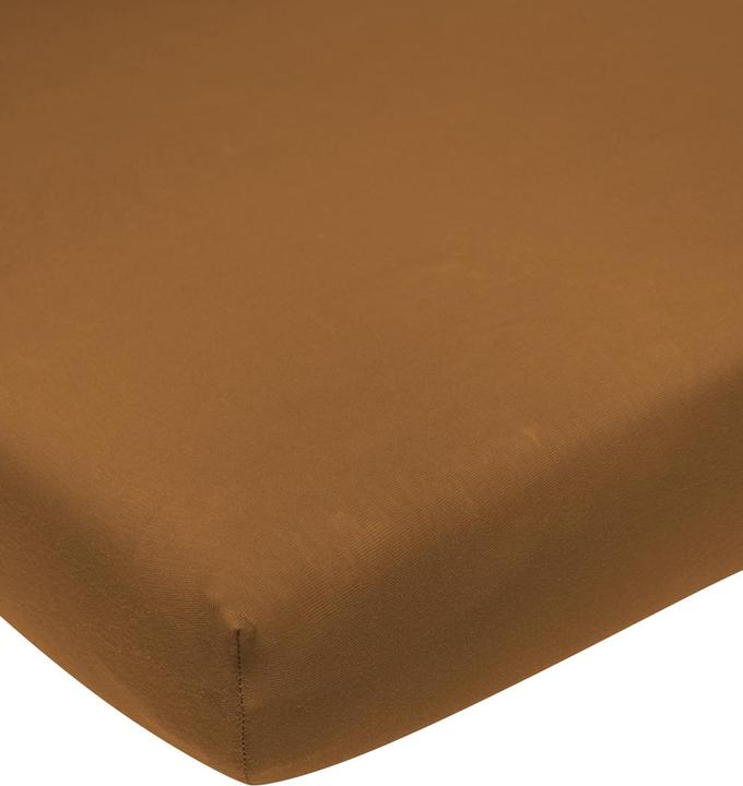 Actual product image Meyco jersey fitted sheet 40x80/90 camel