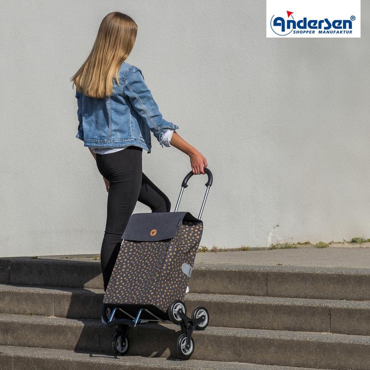 Immagine prodotto Andersen Scalatore Scala Shopper Fita