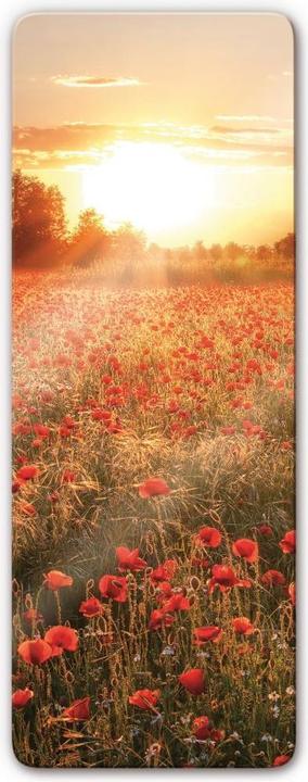 Produktbild Trenddeko Mohnfeld im Sonnenuntergang 3 Panorama (40 x 100 cm)