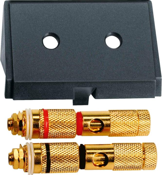 Produktbild Merten Einschub m. High-End Lautsprecher- 464387