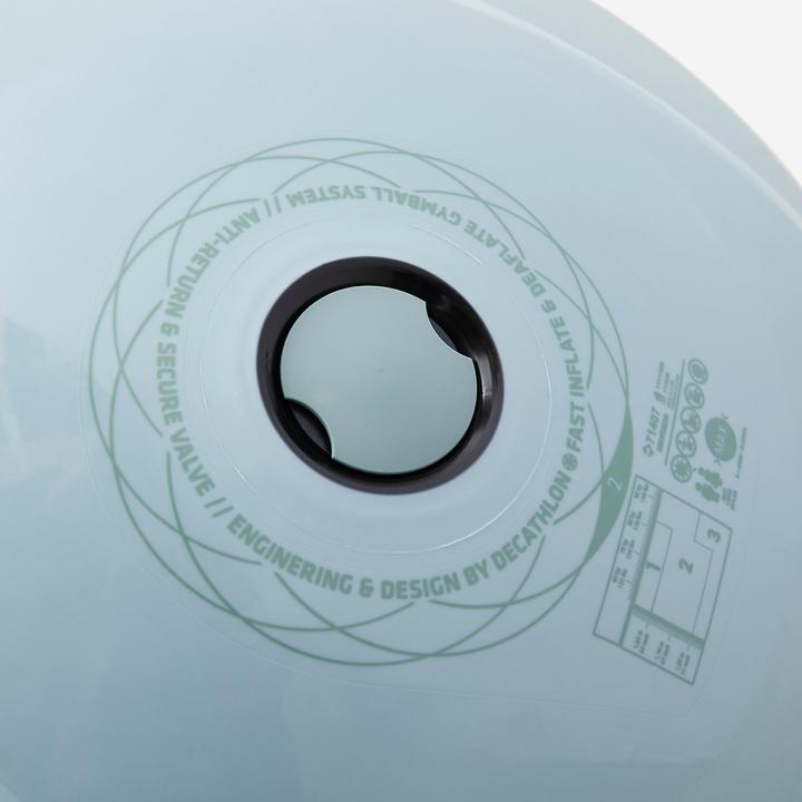 Actual product image Domyos Gym Ball