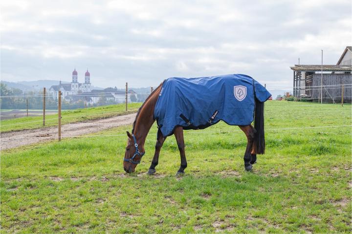 Actual product image Stallone Basic rain rug (115 cm)