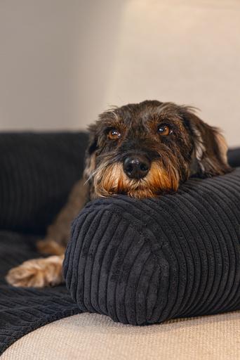 Actual product image Designed by Lotte Ribbed (Dog)