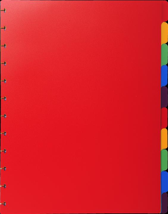 Exacompta Intercalaires polypropylènes couleurs 10 positions pour porte-vues à anneaux - (A4, 1 x)