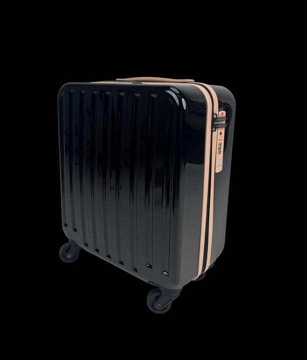 Swissbags Cosmos Deluxe (30 l, Handgepäck (bis 50l))
