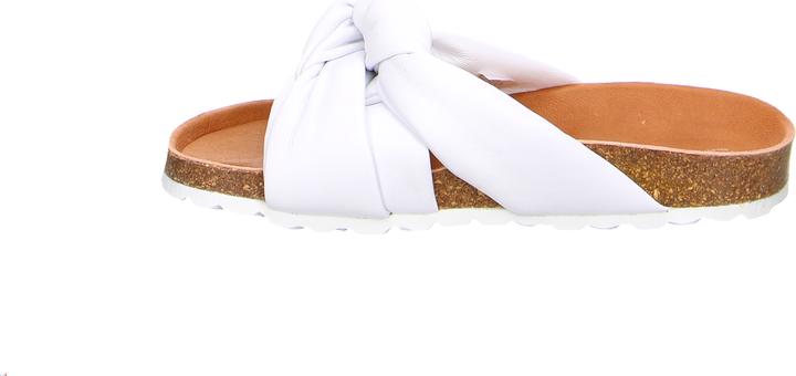Actual product image Verbenas Rainbow Blanco (38)