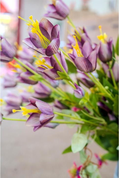 Actual product image NTK-Collection Glockenblume 89 cm Flora (89 cm)