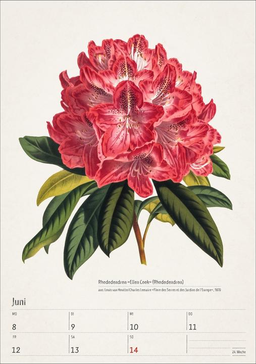 Actual product image Harenberg Bunte Pflanzenwelt Wochenplaner 2026 - 53 historische Illustrationen (Hardcover, German)