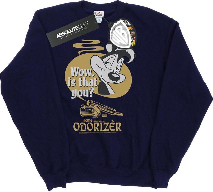 Looney Tunes Odorizer Sweatshirt (L)