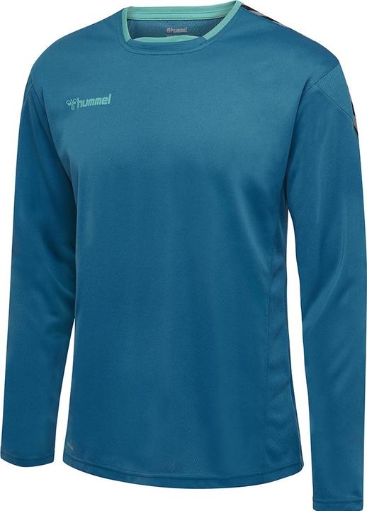 Actual product image hummel Authentic Poly Jersey L/S (S)