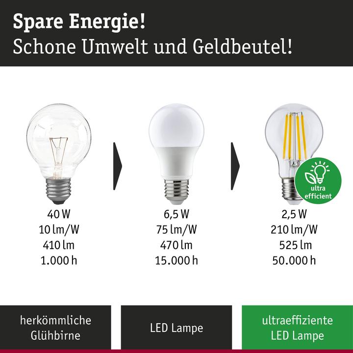 Productafbeelding Paulmann Drop Eco-Line filament (E14, 2.50 W, 525 lm, 1 x, A)