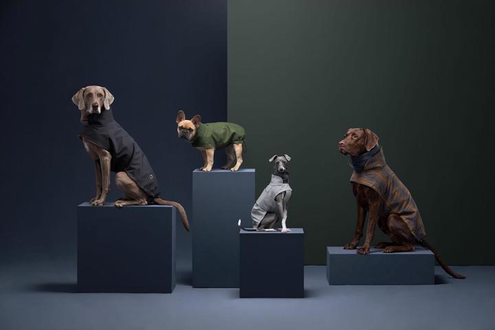 Actual product image Cloud 7 Dog Coat Brooklyn (7, Dog coat)