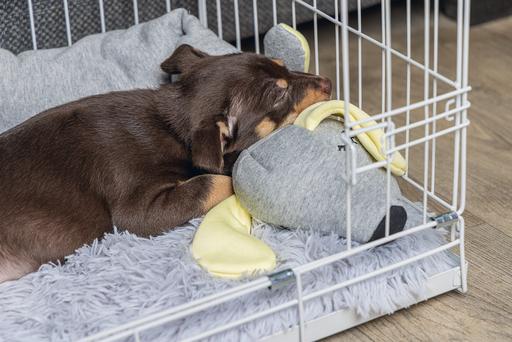 Image du produit Beeztees Cage pour chiots (Chien, Lavable, Réflecteurs)