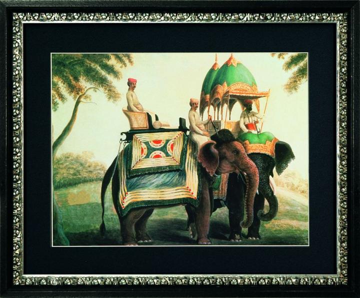 Produktbild G&C Gallery Elephants (50 x 40 cm)