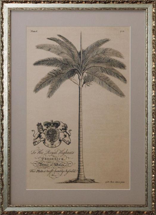 G&C Gallery Palme (42 x 59 cm)