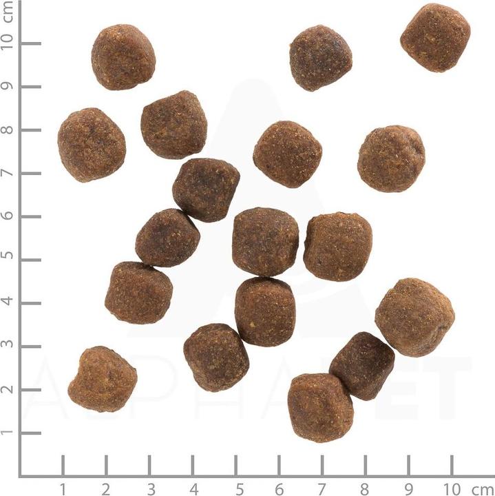 Immagine prodotto Wolfsblut Anatra selvatica (Adulto, 1 pz., 12500 g)