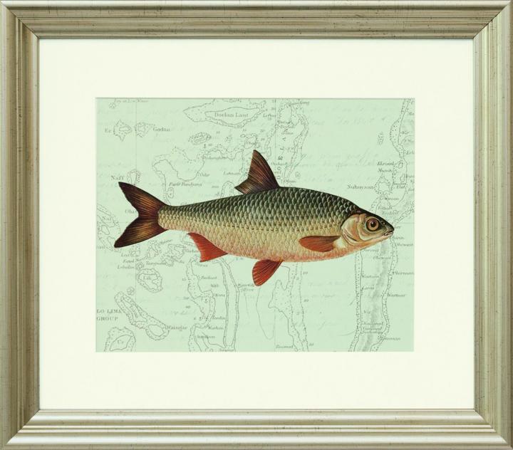 G&C Gallery Fresh Water (35 x 30 cm)