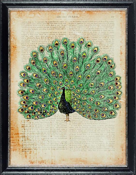 G&C Gallery Uccelli (45 x 60 cm)