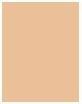 Produktbild Artdeco Mineral Foundation (06 - Honey)