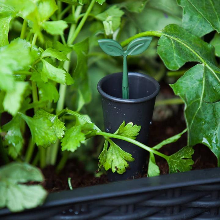 Actual product image Keter Easy Growing