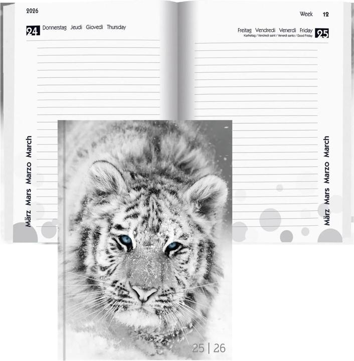 Produktbild Biella Schüleragenda mydiary (12 x 16.5 cm, Deutsch, Italienisch, Englisch)