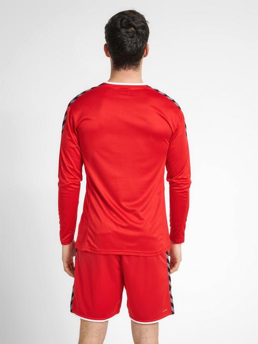 Image du produit hummel Authentic Poly Jersey L/S (S)