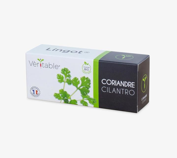 Produktbild Véritable Bio-Koriander (Kräutersamen)
