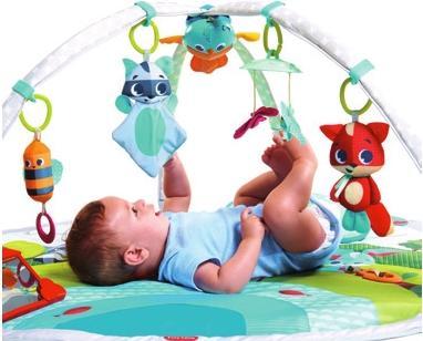 Productafbeelding Tiny Love Dynamische Gymini Weidedagen