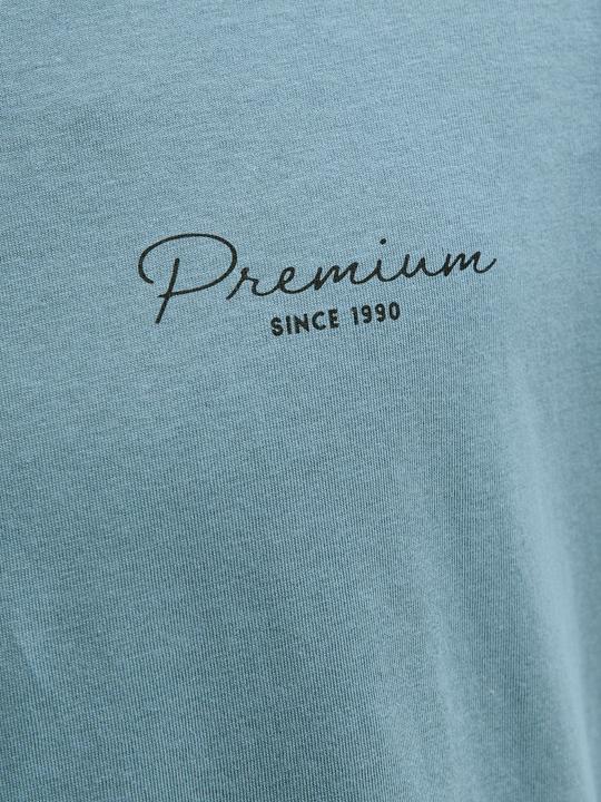 Produktbild Jack & Jones Gedruckt T-shirt T-shirt (S)