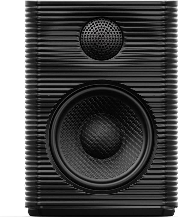 FiiO SP3 (1 pair, 80 W)