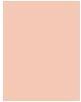 Actual product image L'Oréal Paris Perfect Match (1-2R Rose Porcelain)