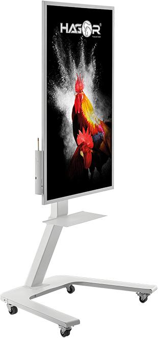 Image du produit Hagor système de support mobile pour SAMSUNG WM55H et WM55R (Flip2, 55", 45 kg)