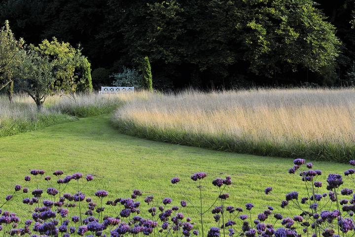 Produktbild Meine Vision wird Garten (Deutsch, Peter Janke, 2012)