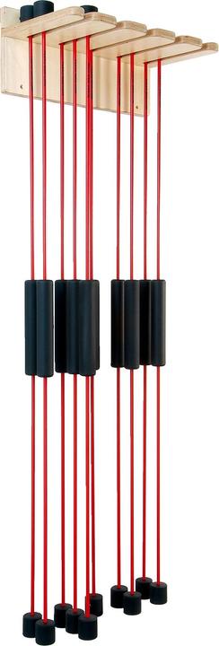 Sport-Thieme Dispositif de suspension pour barres d'inertie (49.50 cm)