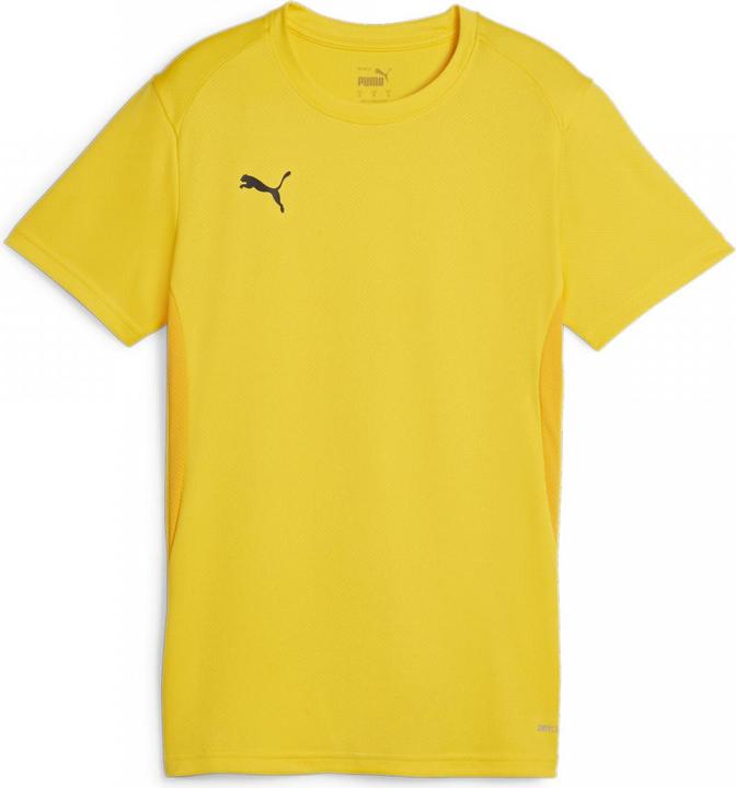 Image du produit Puma teamGOAL Jersey Wmn (M)