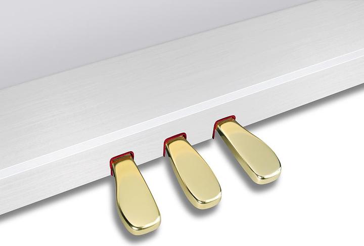 Image du produit Casio Piano électrique CELVIANO Grand Hybrid GP-310WE Blanc (88 Boutons)