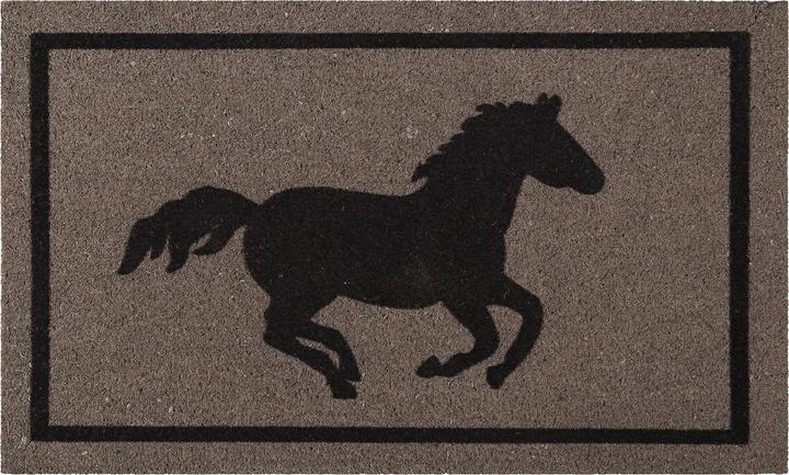 Wecon Home Floor mats Champion (60 x 90 cm)