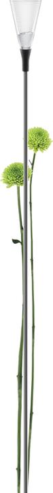 Actual product image Eva Solo Precipitation gauge